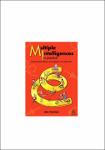 TVS.005663_Mike Fleetham - Multiple Intelligences in Practice_ enhancing self-esteem and learning in the classroom-Network Continuum Education (2006)-1.pdf.jpg